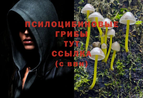 spice Арсеньев